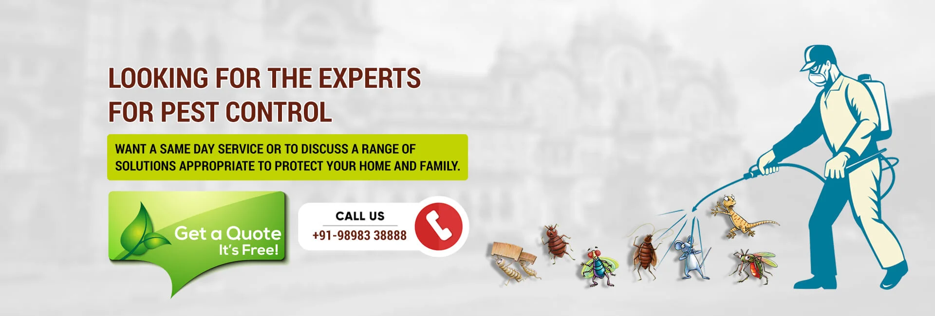 Pest control service in baroda